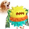Pet Supplies Vocal Dog Toy Leaking Food Ball